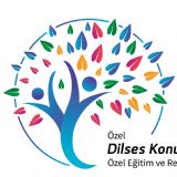 Dilses Kocaeli Fk
