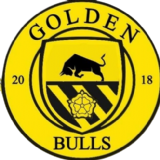 Golden Bulls