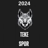 Teke Spor