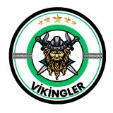 Vikingler